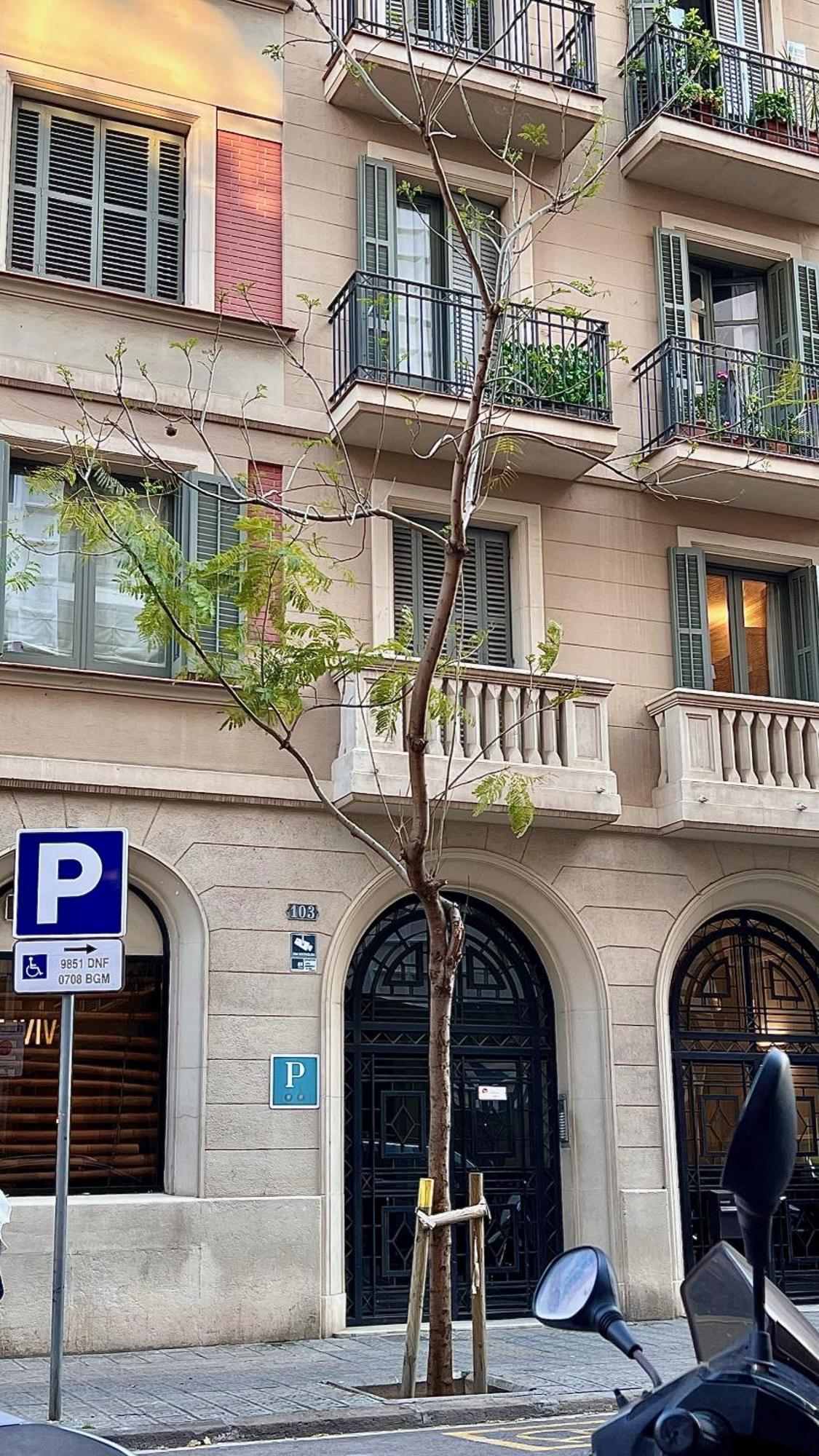Hostal Madrazo Barcelona Eksteriør billede
